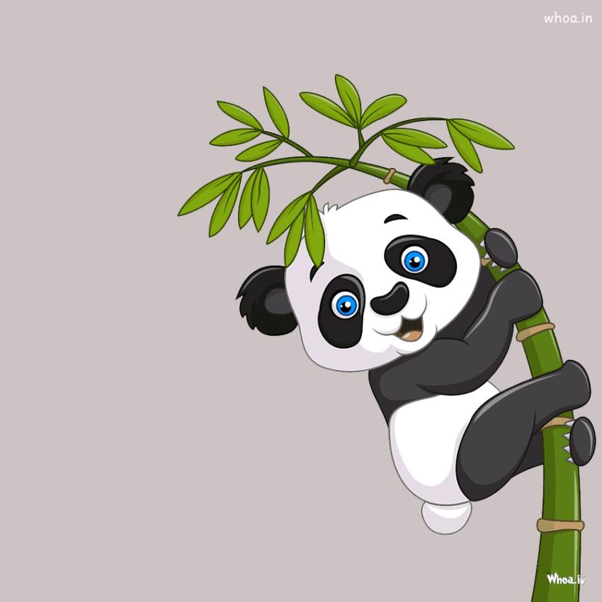 Latest Images For Panda HD , Tress With Panda Pictures