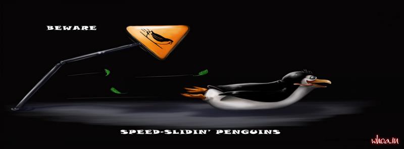 Facebook Cover Of Penguins Hd Cover For Free Download