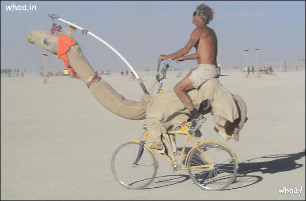 Funny Bicycle Like A Camal Photo For Facebook Free Download