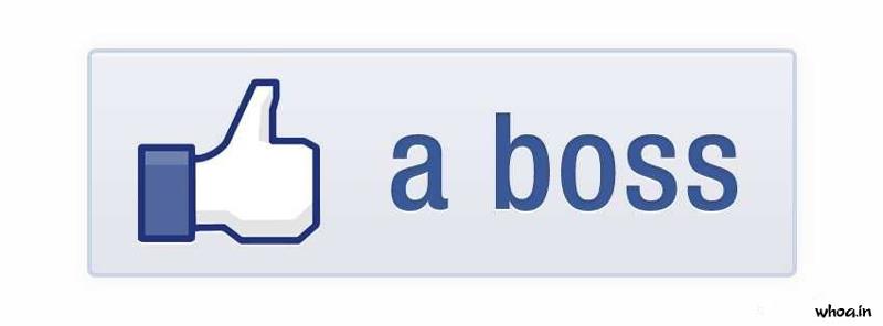 Facebook Timeline Cover - Whoa.In