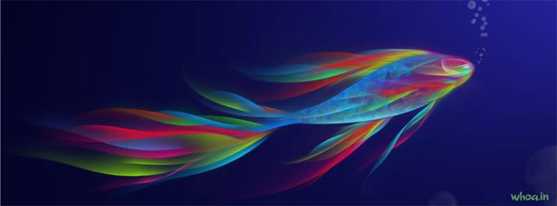 Colorful Fish Art Facebook Cover