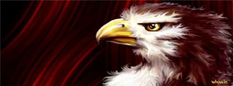 Eagle Animal Art Facebook Cover