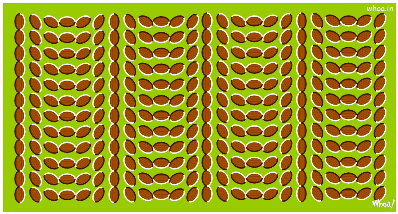 Optical Illusions #35, Optical Illusions Wallpaper For Facebook Free