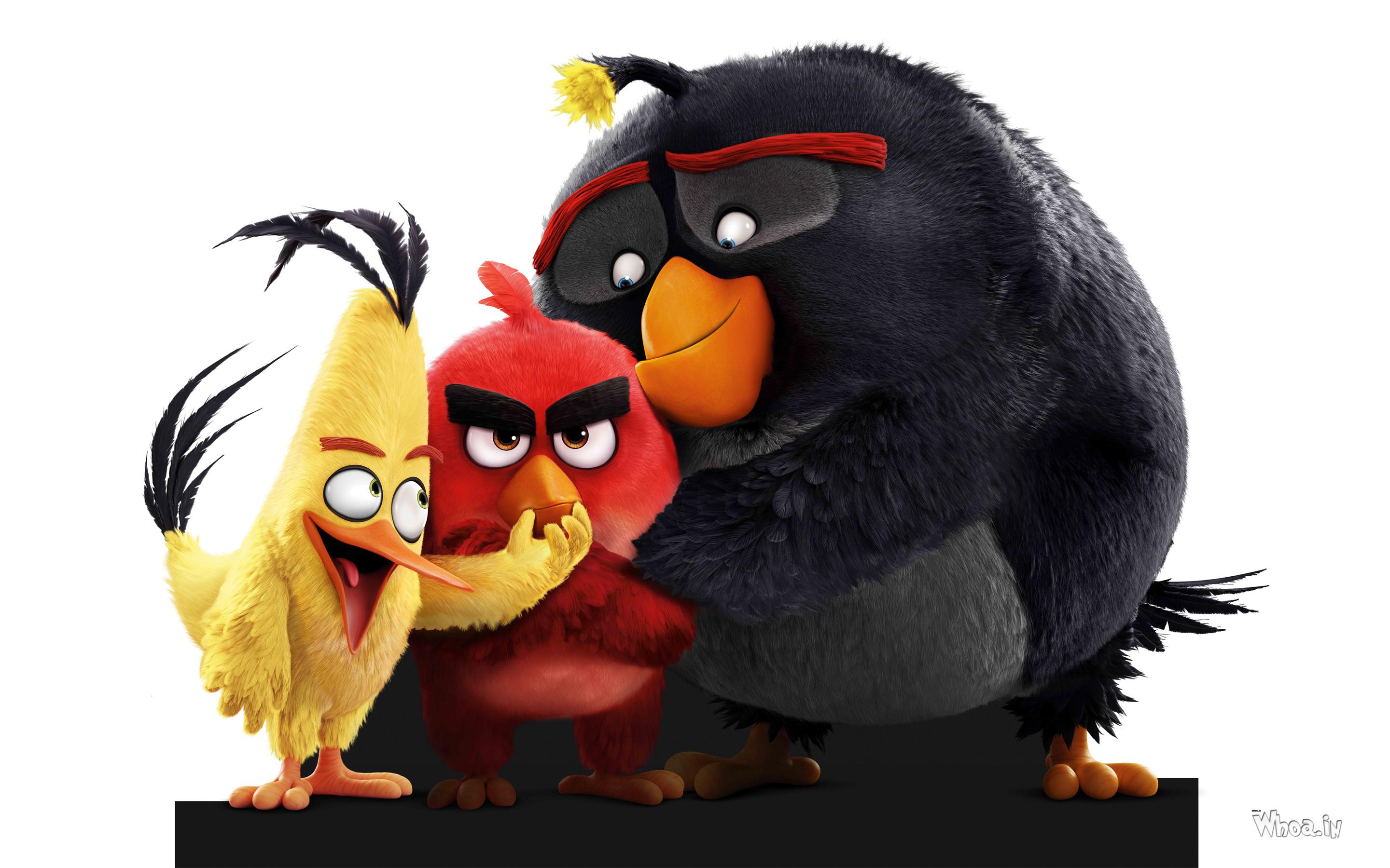 Cartoon Movie - Angry Birds Movie 2016 Wallpaper