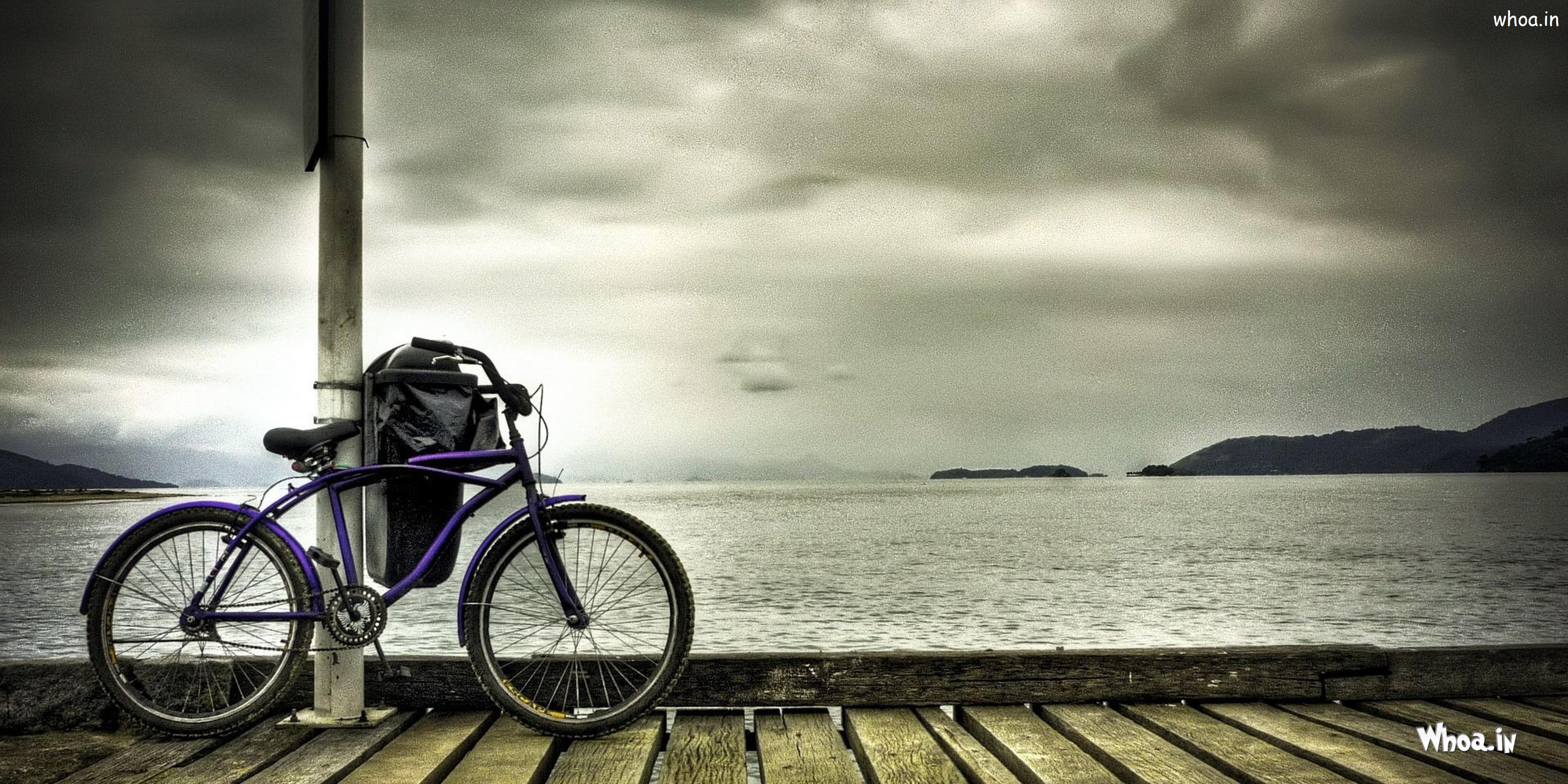 Bicycle HD Wallpaper-Cyclist 1080P,2K HD Wallpapers Download