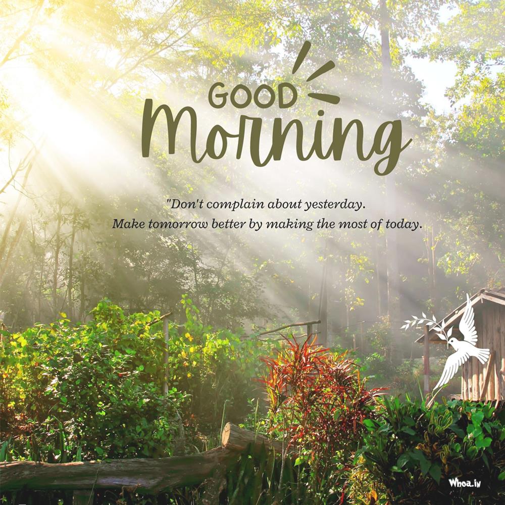 Good Morning With Great Day Wishes Pictures , Best Wallpaper
