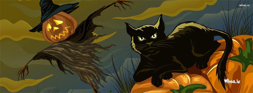 Halloween Black Cat Cartoon Fb Cover
