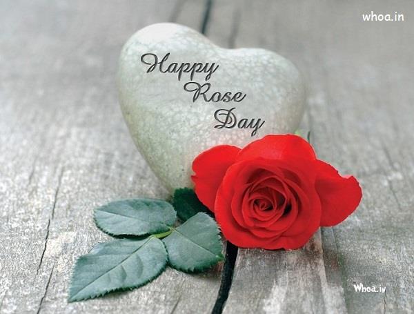 Happy Rose Day Valentine Week Hd Images Wallpapers