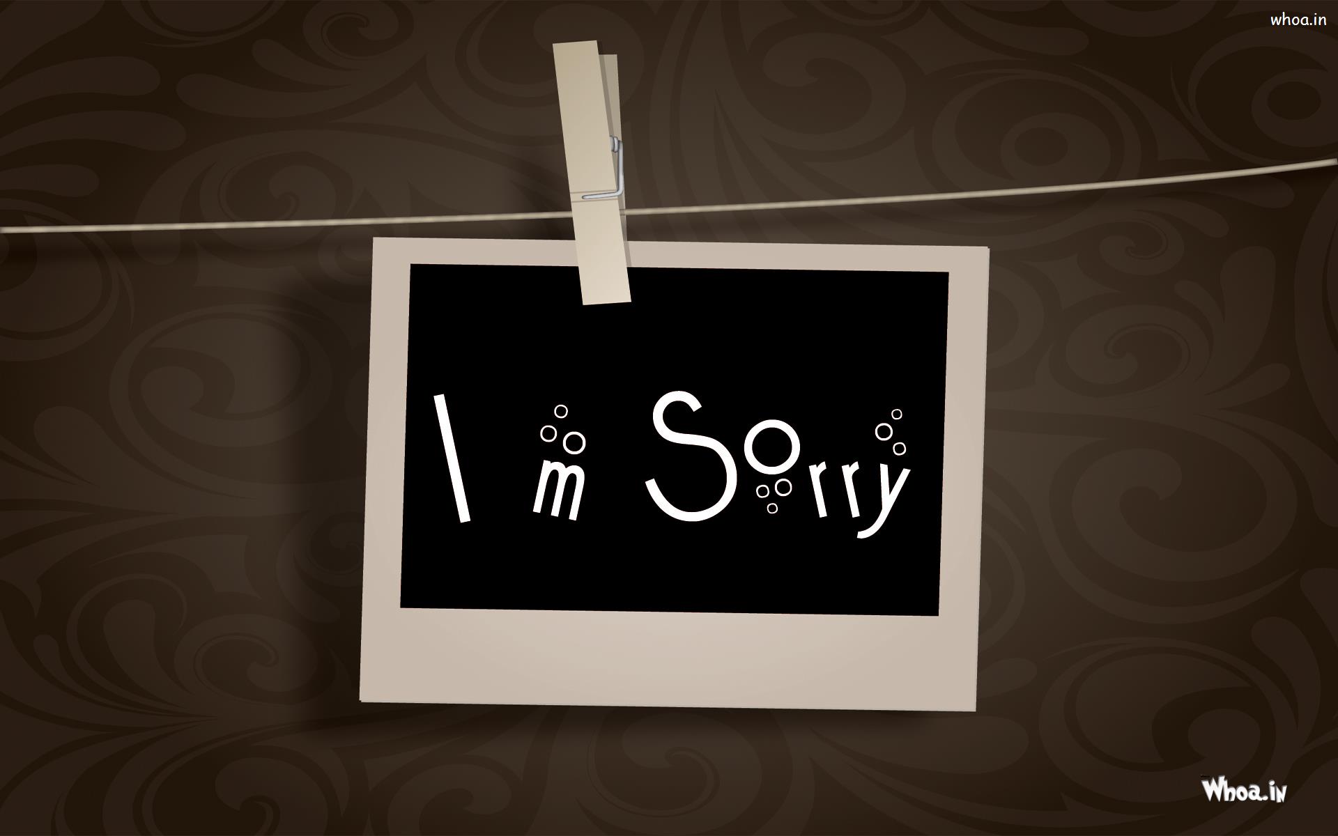 I'm Sorry Beautiful HD With Black Background Wallpaper
