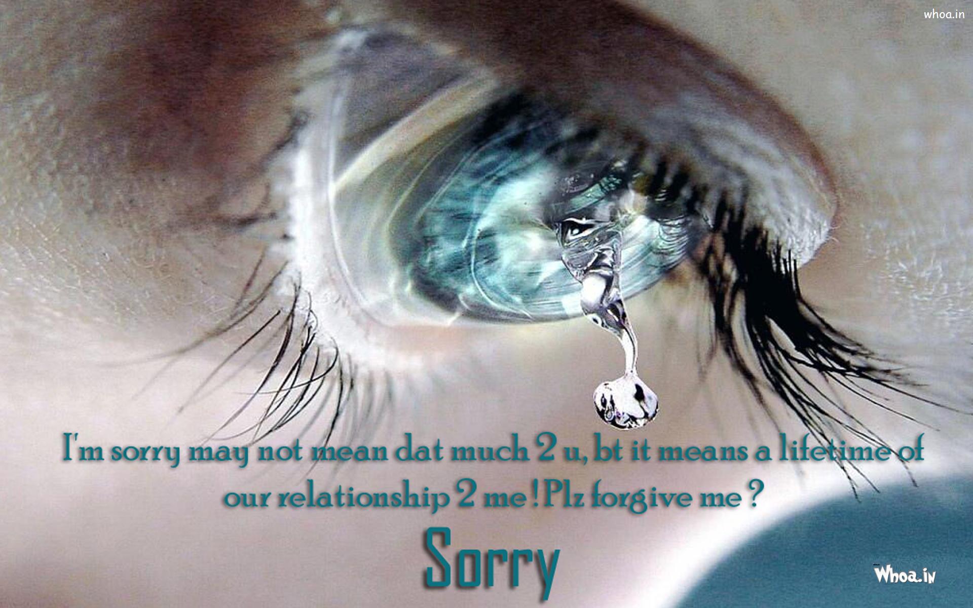 I'm Sorry Beautiful Quotes With Bule Eyes Background Wallpaper