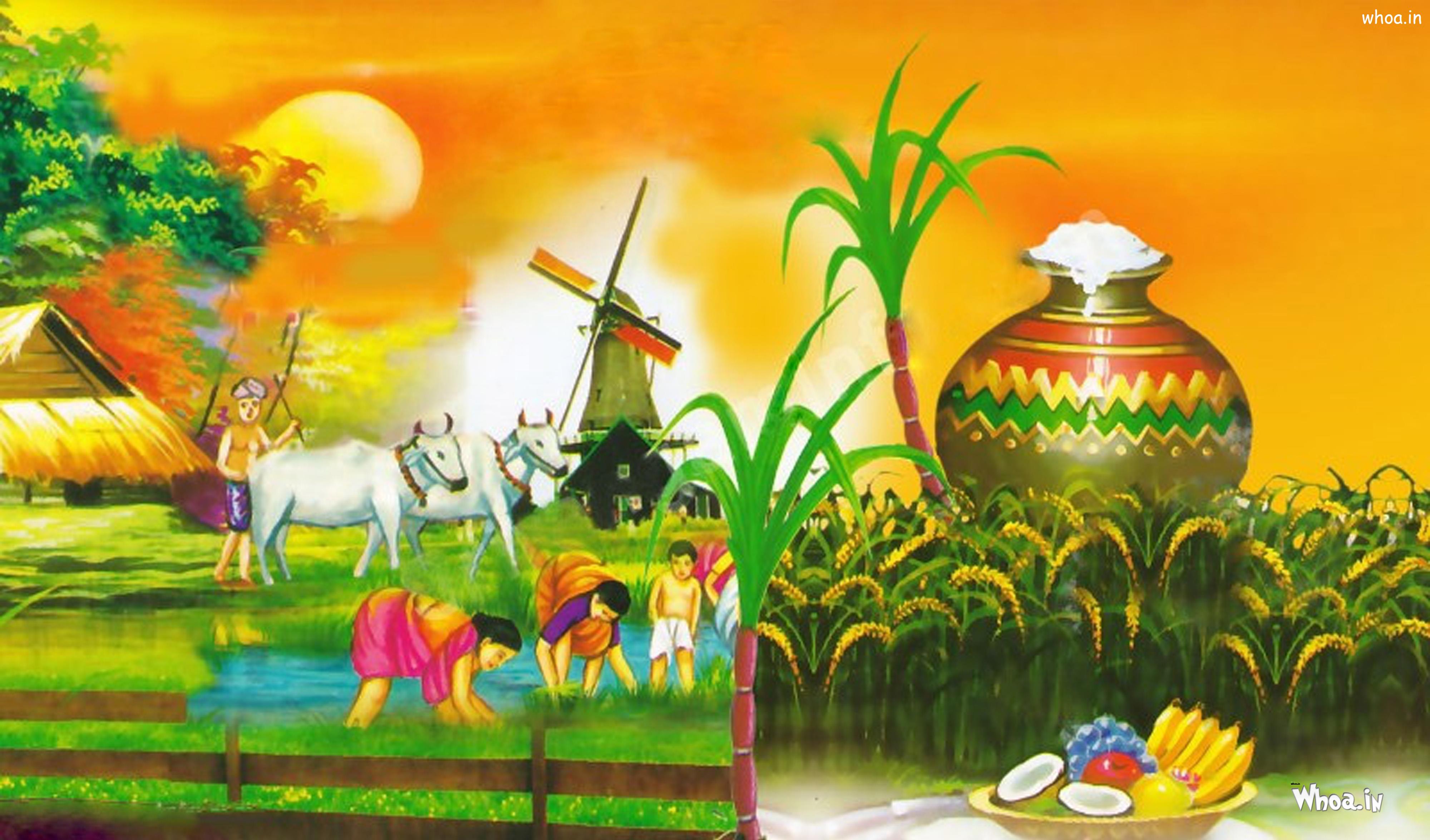 Pongal Festival Drawing HD Wallpaper For Desktop Background