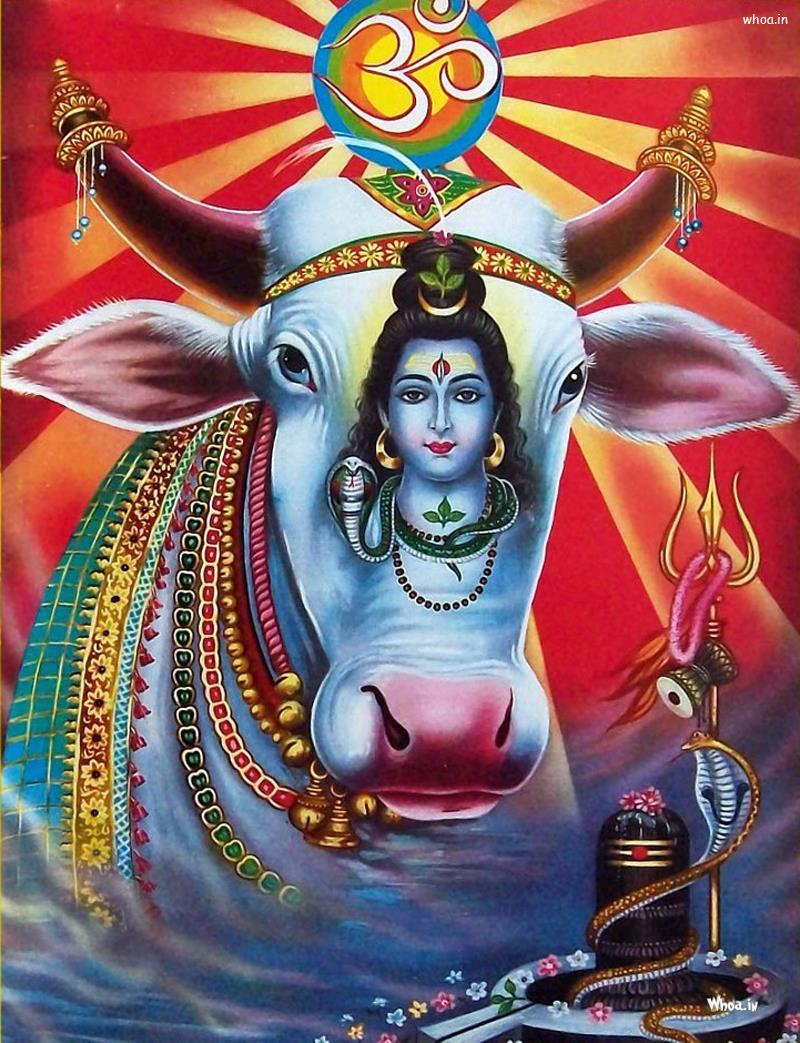 Lord Shiva Hd Wallpaper Free Download#7