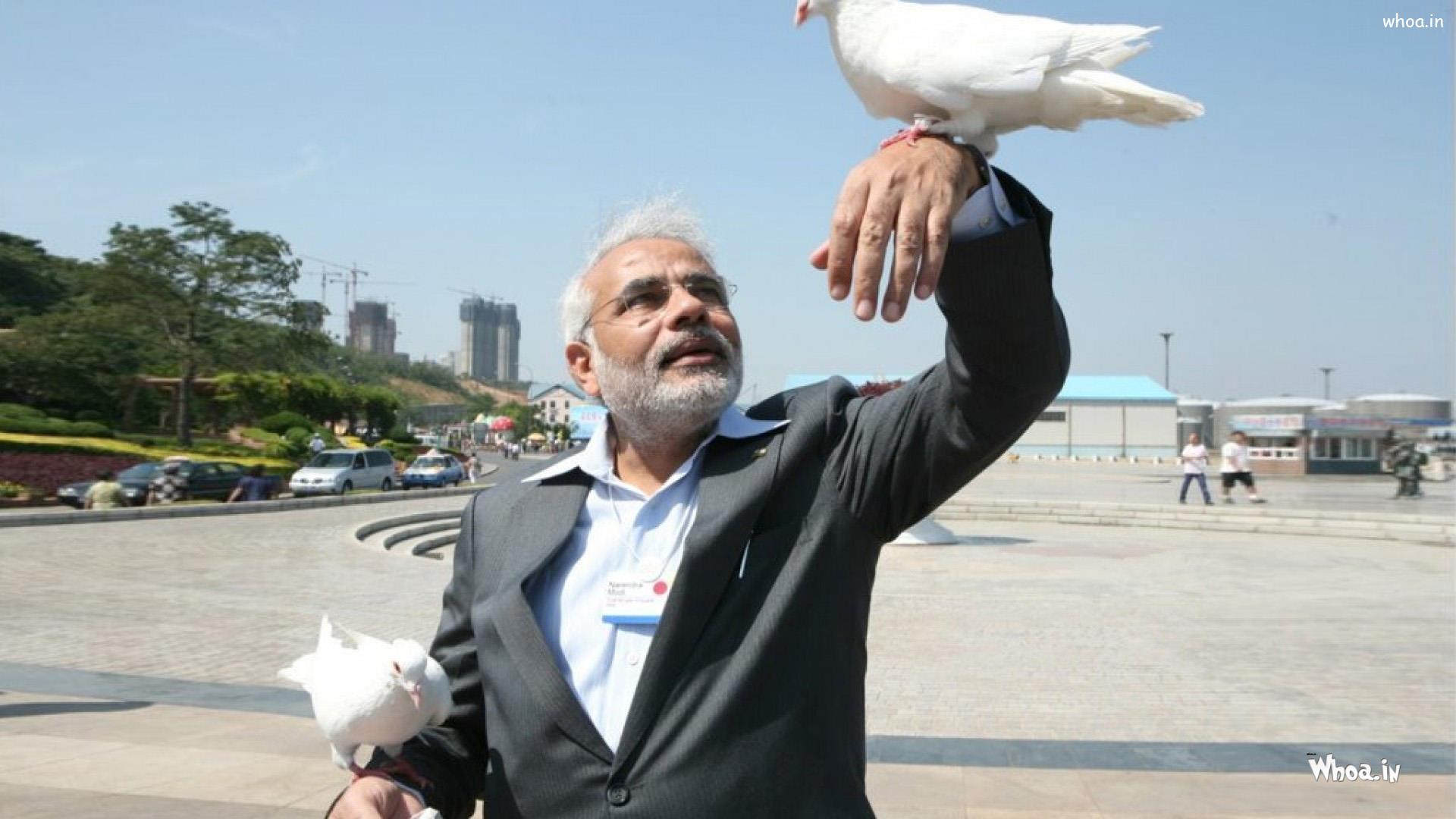 Narendra Modi With White Pigeon HD Wallpaper