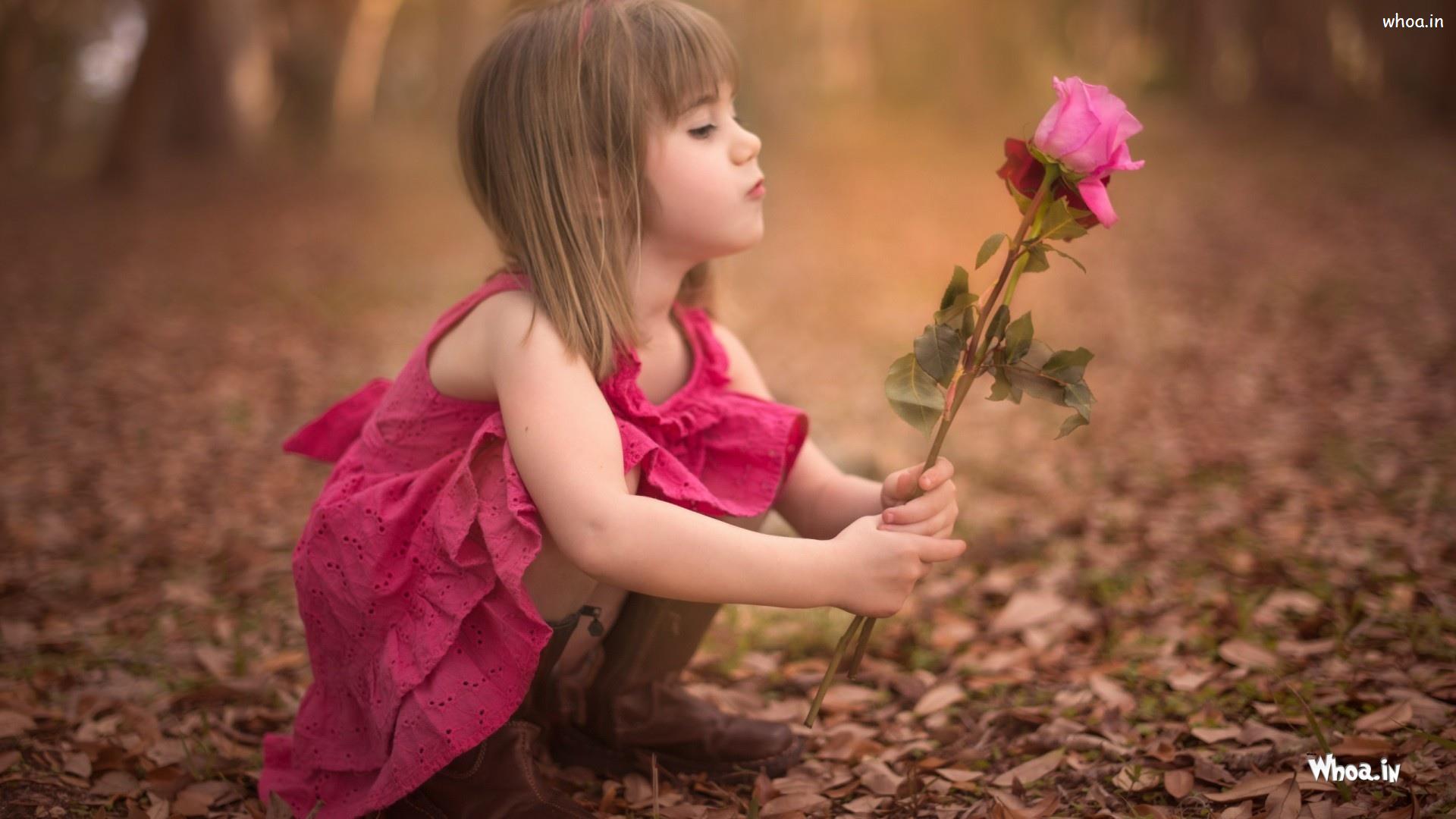 Pink Little Baby Girl With Rose HD Little Baby Wallpaper