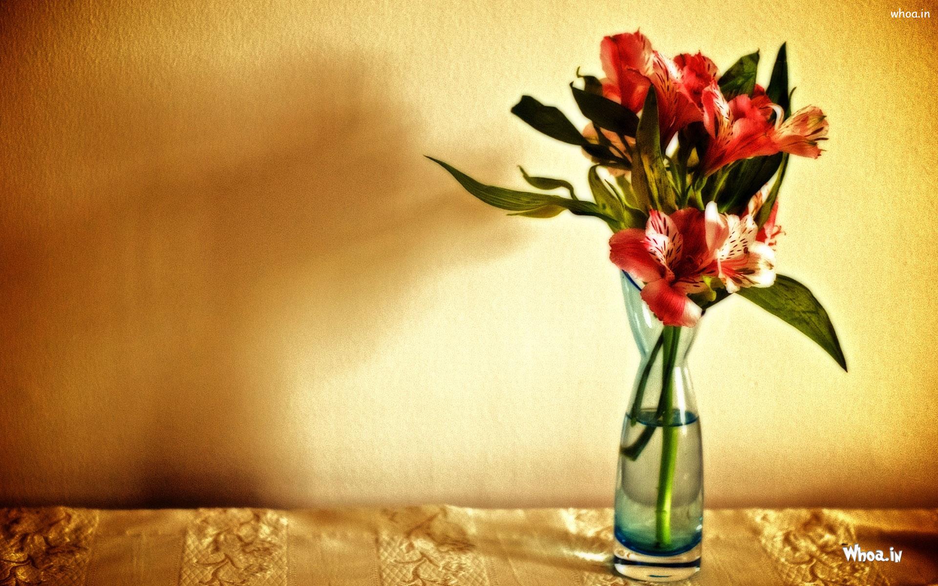 Red Flower Pot Hd Wallpaper