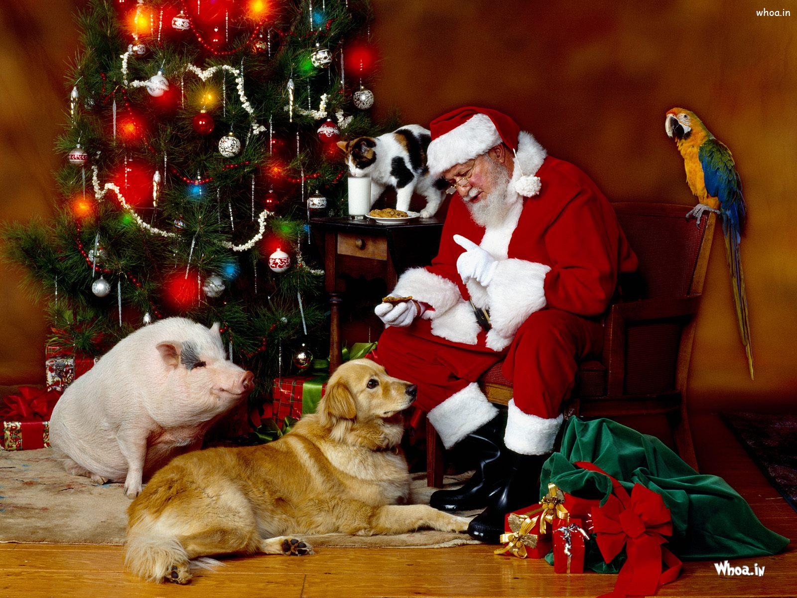 Santa Claus With Animals In Christmas