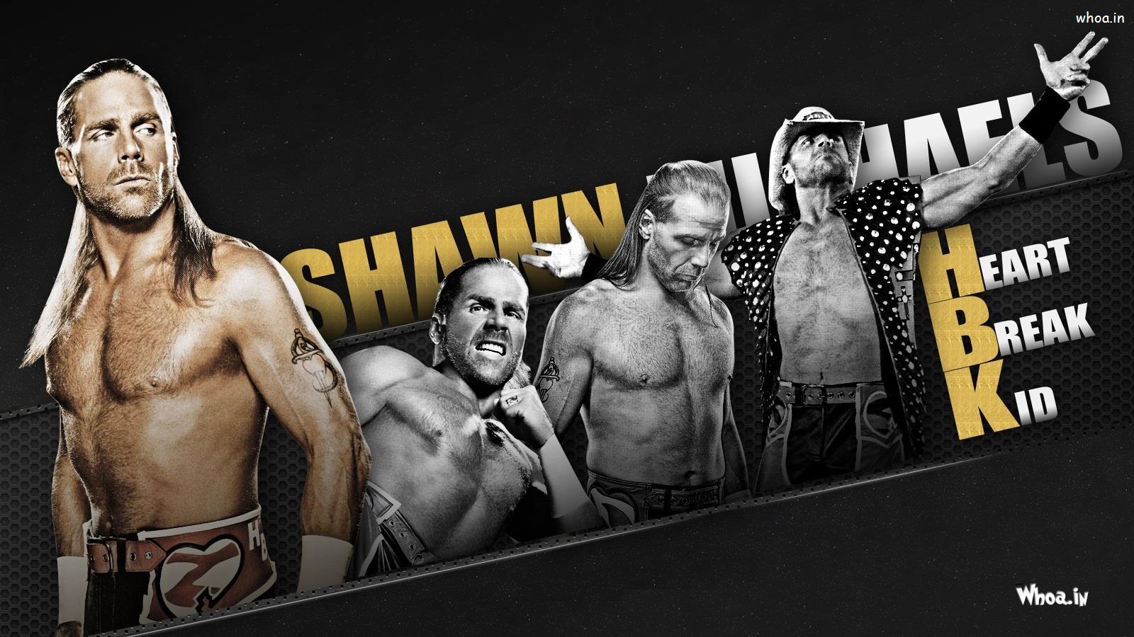 Shawn Michaels Fight Action HD WWE Stars Wallpaper