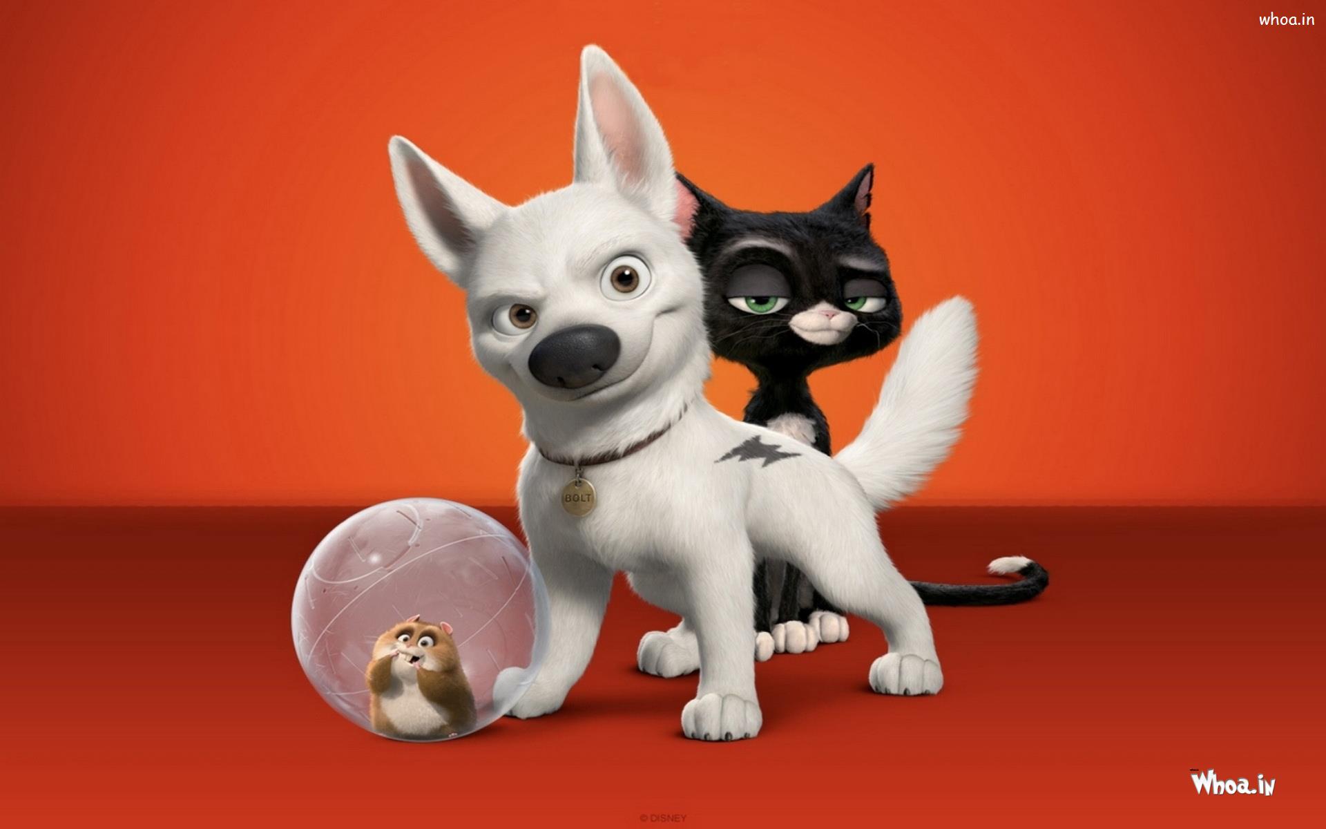 White Dog And Black Cat With Orange Background Animated Wallpaper
