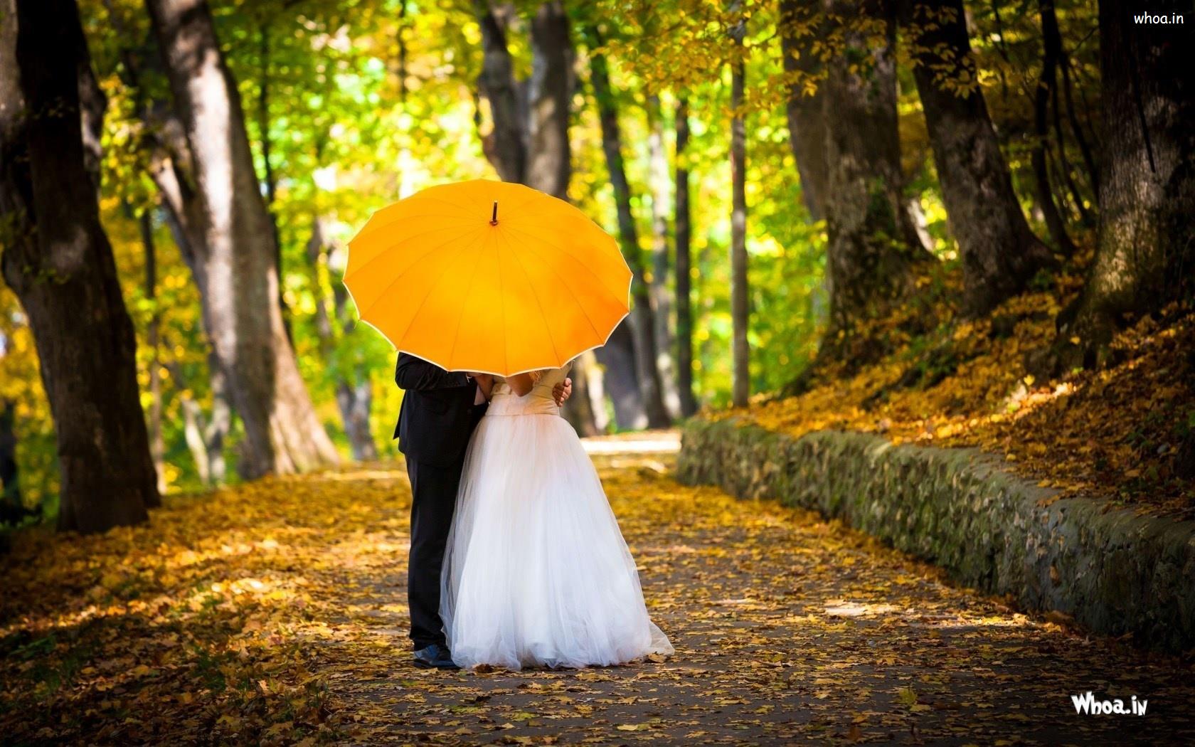 Young Married Couple Kissing In Yellow Umbrella HD Couple Wallpaper